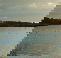 Lake Inverell Reserve - Accommodation Redcliffe