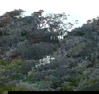 Mount Yarrowyck Nature Reserve - Accommodation Redcliffe