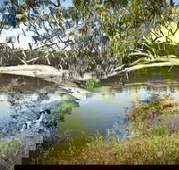 Murray Valley National Park - Accommodation Redcliffe