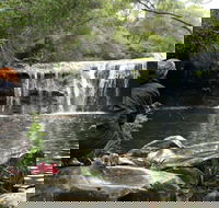 Nellies Glen Picnic Area - Accommodation Redcliffe