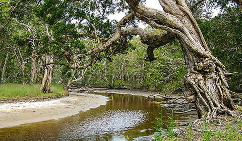 Saltwater National Park - Accommodation Redcliffe 0