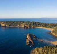 Snorkelling Guerilla Bay - Accommodation Redcliffe