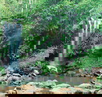 Tamborine National Park - Accommodation Redcliffe