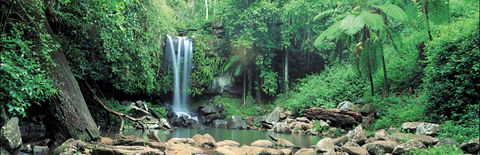 Tamborine National Park - Accommodation Redcliffe 0
