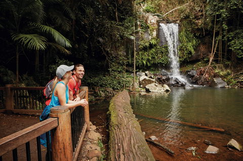 Tamborine National Park - Accommodation Redcliffe 1