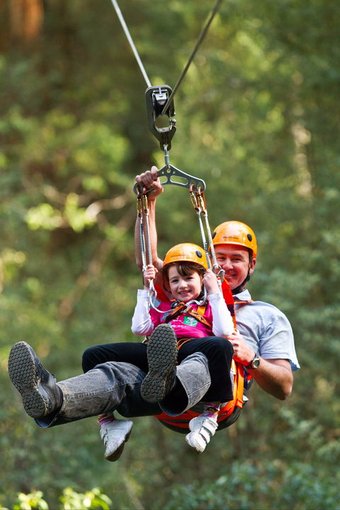 Zipline At Illawarra Fly - Accommodation Redcliffe 0
