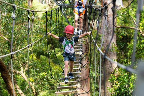 Zipline At Illawarra Fly - Accommodation Redcliffe 1