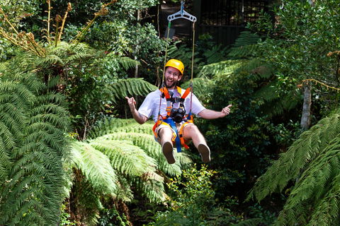 Zipline At Illawarra Fly - Accommodation Redcliffe 2