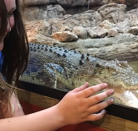 Canberra Reptile Zoo - Accommodation Redcliffe