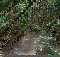 Cascades Walk - Accommodation Redcliffe