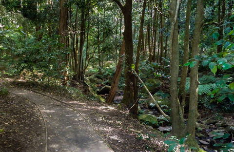 Cascades Walk - Accommodation Redcliffe 0