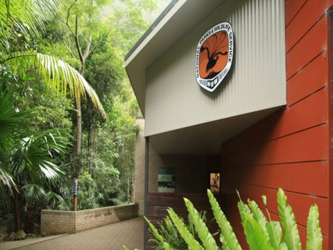 Minnamurra Rainforest Centre: Budderoo National Park - Accommodation Redcliffe 0