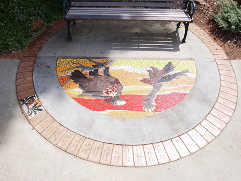 Mosaic Pathway (WASS) - Accommodation Redcliffe 2