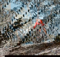 Mountain Bike Trails Deniliquin - Accommodation Redcliffe