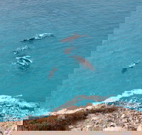 Nullarbor National Park