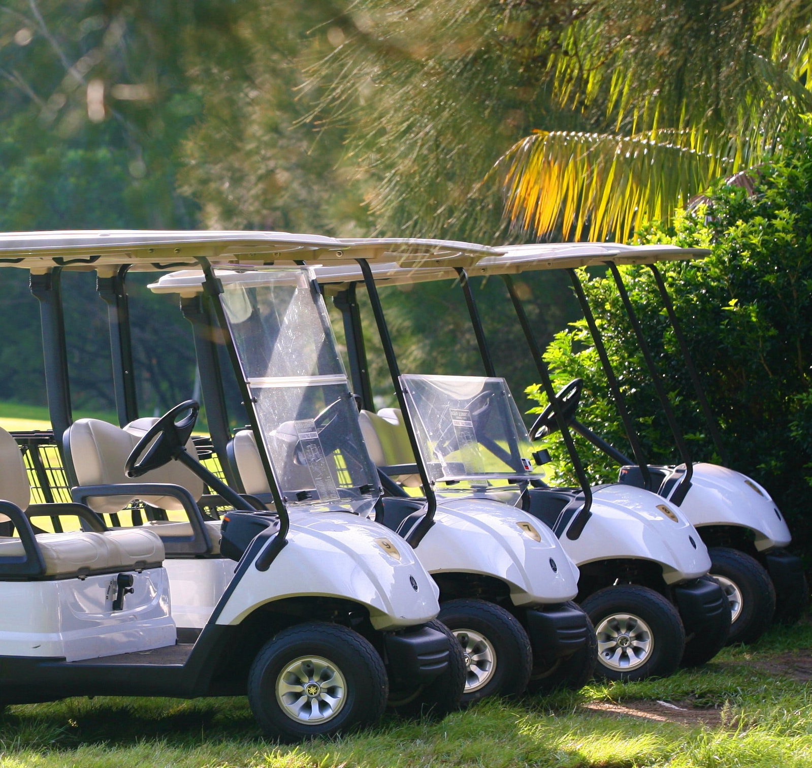 Russell Vale NSW Accommodation Redcliffe