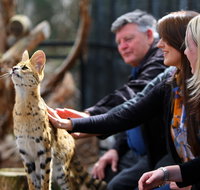 Werribee Open Range Zoo - Accommodation Redcliffe