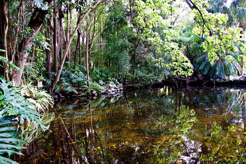Cascade Gardens - Accommodation Redcliffe 2