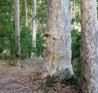 Delta Track - Accommodation Redcliffe