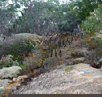 Dergholm State Park - Accommodation Redcliffe