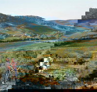 Farm Flavour Trail Chittering Valley