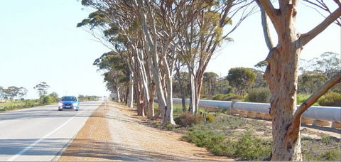 Golden Pipeline Heritage Trail - Accommodation Redcliffe 0