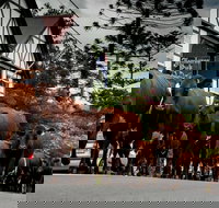 Jamberoo - Accommodation Redcliffe