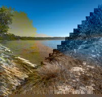 Jewfish Walk - Accommodation Redcliffe