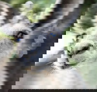 John Egan Pioneer Track - Accommodation Redcliffe