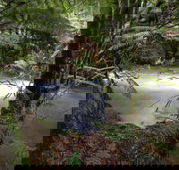 Marriotts Falls and Junee Caves - Accommodation Redcliffe