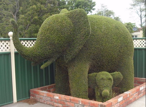 Railton: Town Of Topiary - Accommodation Redcliffe 0