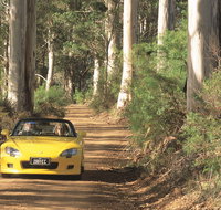 Scotsdale Tourist Drive - Accommodation Redcliffe