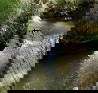 Second Ponds Creek Walk - Accommodation Redcliffe