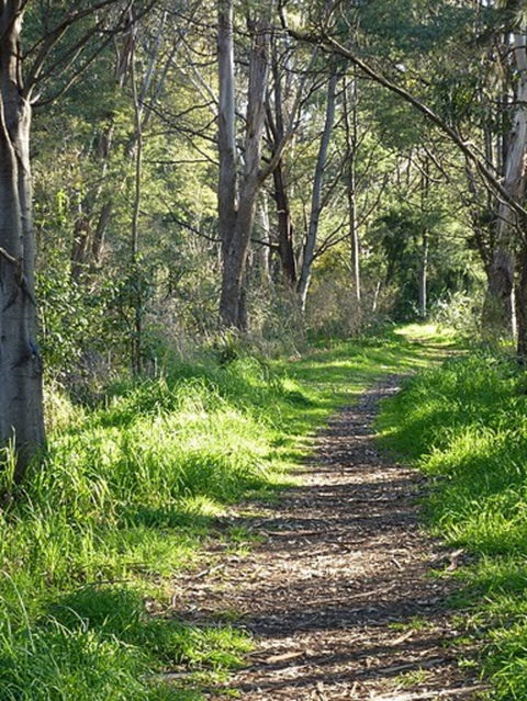 Stoodley Forest Walk And Arboretum - Accommodation Redcliffe 0