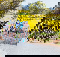 The Heron's Highway - Avon River Cycle Trail - Accommodation Redcliffe