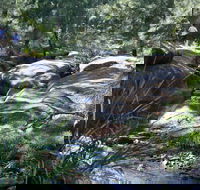 Towarri National Park - Accommodation Redcliffe