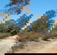 Werakata National Park - Accommodation Redcliffe