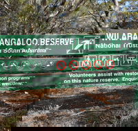 Wilabalangaloo Reserve - Accommodation Redcliffe
