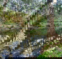 Woko National Park - Accommodation Redcliffe
