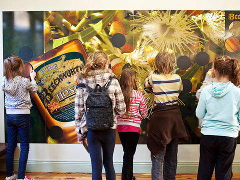 Beechworth Honey Shop - Accommodation Redcliffe 2