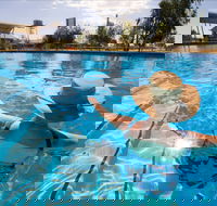 Boulia Sports and Aquatic Centre - Accommodation Redcliffe
