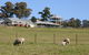 Calmsley Hill City Farm - thumb 0