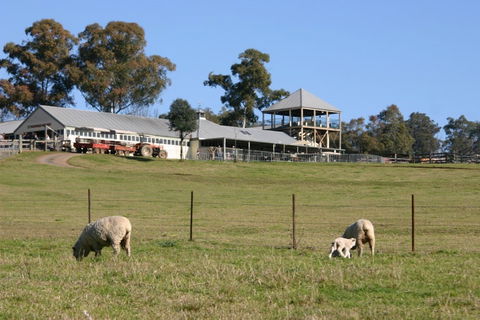 Calmsley Hill City Farm - Accommodation Redcliffe 0
