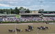 Club Menangle - thumb 1