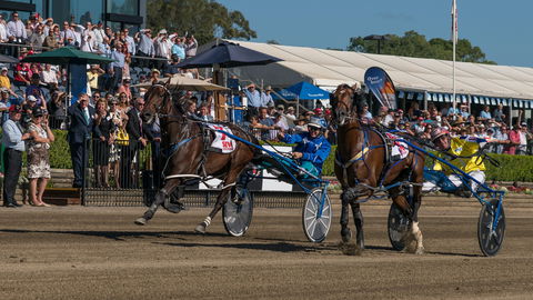 Club Menangle - Accommodation Redcliffe 2