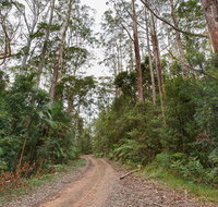 End Peak walking track - Accommodation Redcliffe