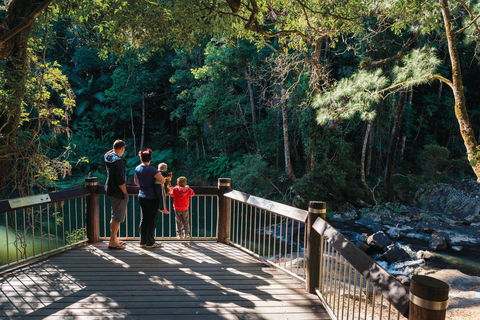 Explore The Mackay Region In Three Days - Accommodation Redcliffe 2