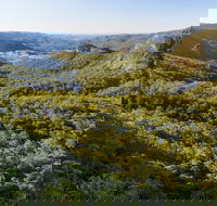 Gold Coast Hinterland Great Walk - Accommodation Redcliffe
