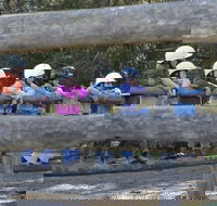 Harlow Park Horse Riding - Accommodation Redcliffe