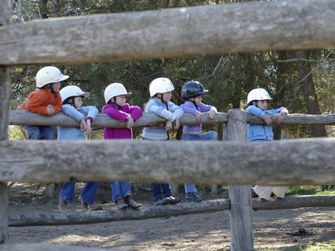 Harlow Park Horse Riding - Accommodation Redcliffe 0